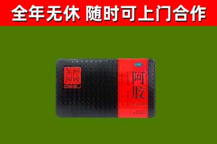 南平回收阿胶